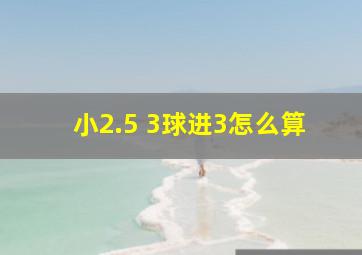 小2.5 3球进3怎么算